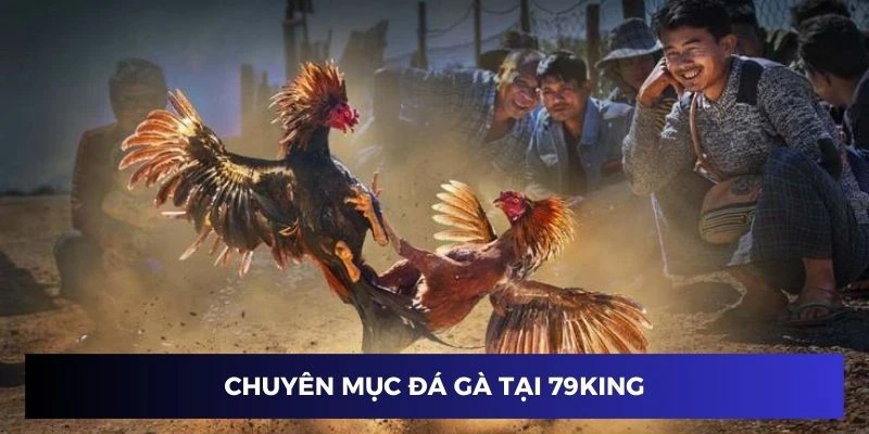 Chuyên mục đá gà 79KING